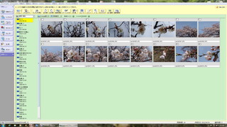 写真管理の画面